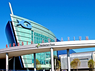 georgia-aquarium1.jpg